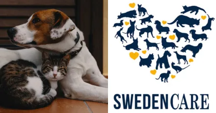 Kan Swedencare satta en botten