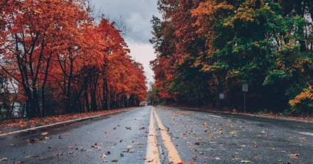 Morkare och kallare nu