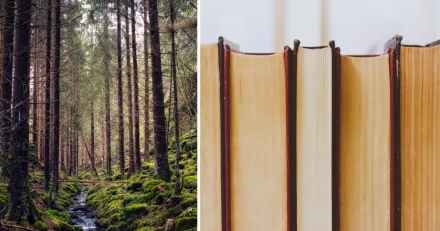 Rekyl i trendstarka Arctic Paper