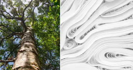 Spannande lage i Arctic Paper Koplage kan uppsta