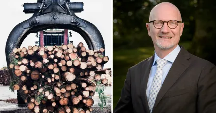 Vi bevakar dessa nivaer for kop i Rottneros