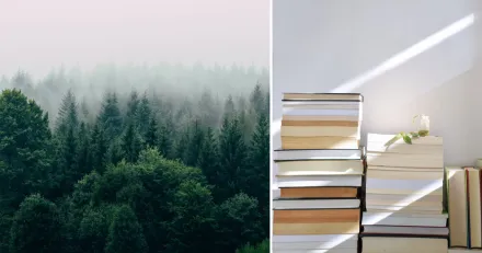 Fanga Arctic Paper pa nasta trendfas