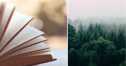 Rekyl kan ge koplage i Arctic Paper