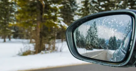 Veckan i backspegeln v46 3