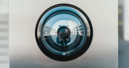 Tcecur Bra bas infor 2023