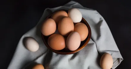 Trendstarka Cal Maine Foods i rekyl