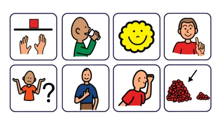 Tobii Dynavox sma steg i ratt riktning