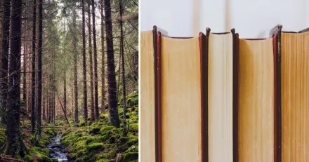 Trendstarka Arctic Paper vander nedat i rekyl Koplage