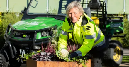 Green Landscaping Guld med grona skogar
