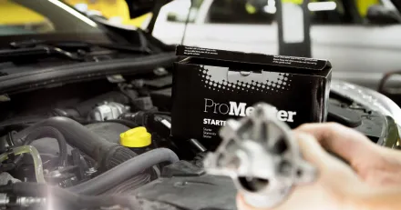 Meko Huvudagaren starker greppet