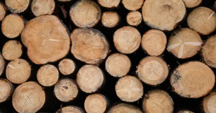 Bevaka rekylen i trendstarka Kemira