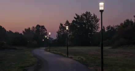 Market Buzz Fagerhult och Cibus