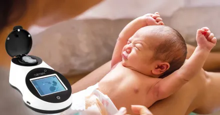 Small Cap Calmarks kassa sinar