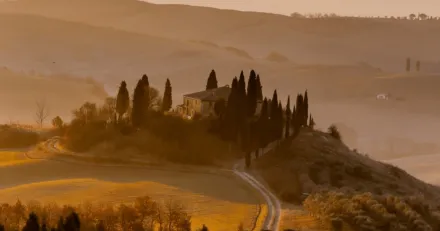 Stockpicker Fund Timer 115