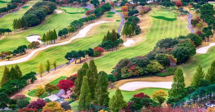 autumn g743cfd1bf 1920