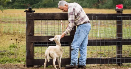 Envirologic revolutionerar djuruppfdningen