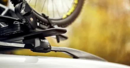 Market Buzz Thule