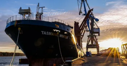 Nekkar Ett typiskt forsta kvartal