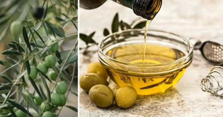 Small Cap Opticept senarelagger mal