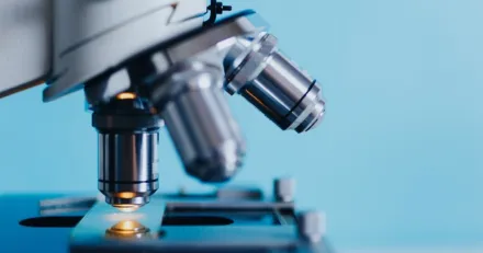 ChemoMetec Temporar svacka