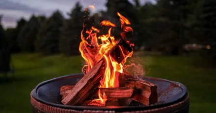 Firefly Kanontillvaxt