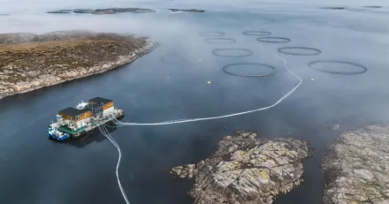 Market Buzz SalMar och Astrazeneca