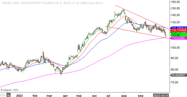 20231020 BONEX