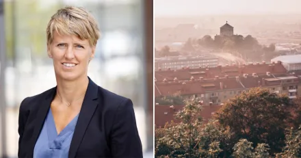 Platzer Rasar pa rapport