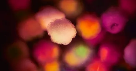 Small Cap Ytterligare studieresultat lyfte Synact Pharma