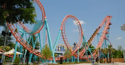 Stora rapportrorelser i manga bolag