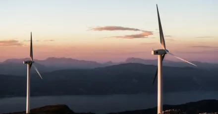 Market Buzz Arise och Siemens