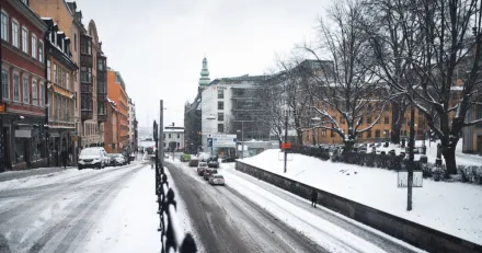 Green Landscaping Let it snow let it snow 