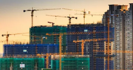 HAKI Safety Den fula ankungen