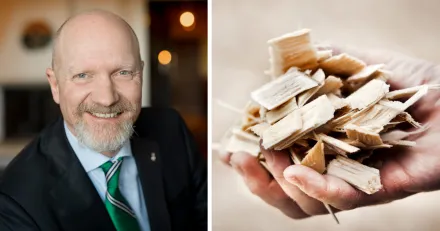 Kan uppgangen accelerera i Rottneros