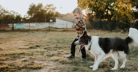 Market Buzz Hexagon och Vimian