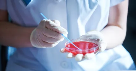 Market Buzz Medicover och Investor