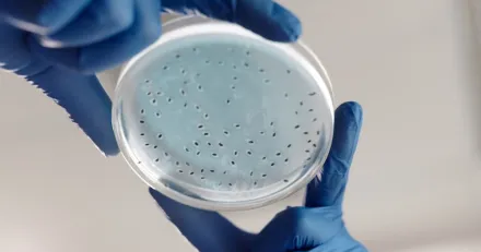 Mer att hamta i Hansa Biopharma