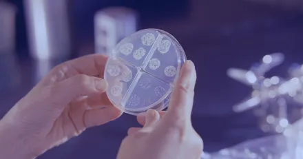 Rekylvandning i Hansa Biopharma