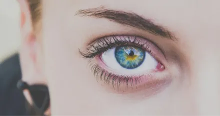 Smart Eye Pa vag mot nagot stort