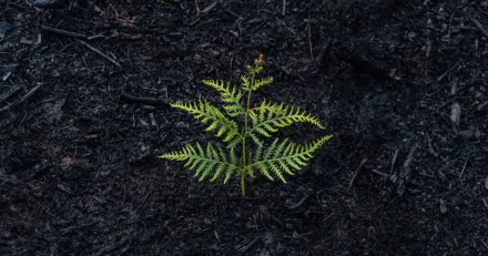 Stockpicker Fund Timer 132