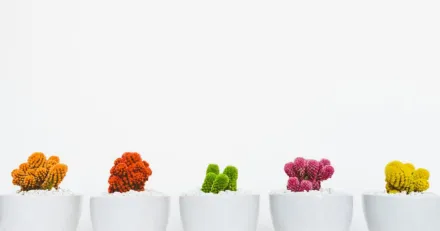 Stockpicker Fund Timer 133