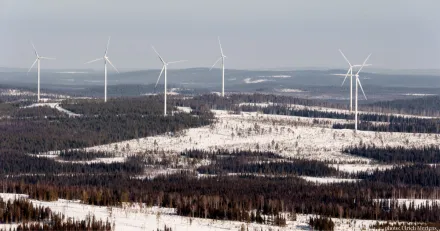 photo Ulrich Mertens