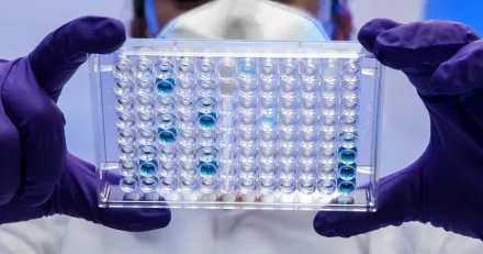 Har avgors langa trenden i Bico Group