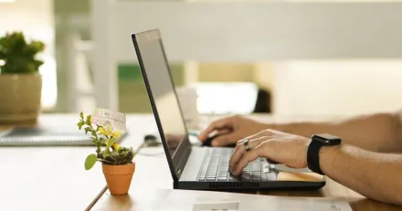 Checkin.com sasongsmassig nedgang