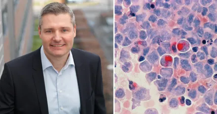 Kopniva i Cellavision