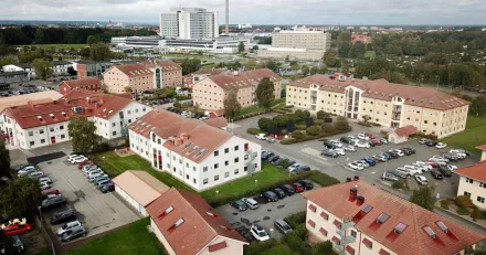 Market Buzz Brinova och Electrolux Professional