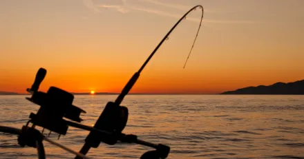 Soder Sportfiske Fran succe till bottennapp