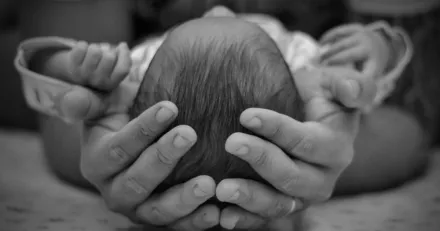 Vitrolife bryter stod