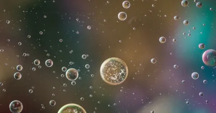 Small Cap NextCell Pharma rusade pa studiedata