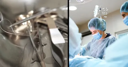 Stille Hojd riktkurs for en gammal favorit